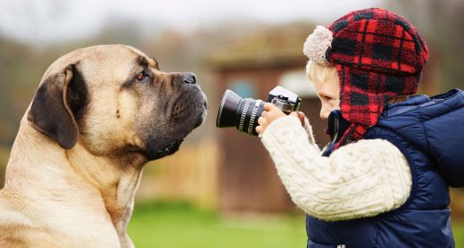 Pet_show_header